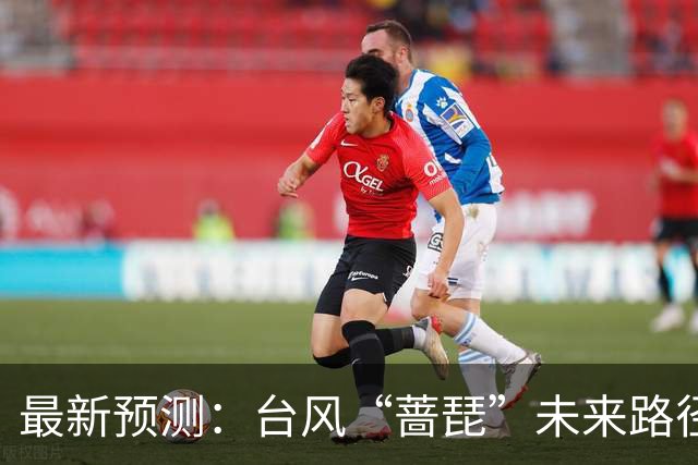 最新预测：台风“蔷琵”未来路径将大拐弯！23日夜间到24日，上海将有暴雨
